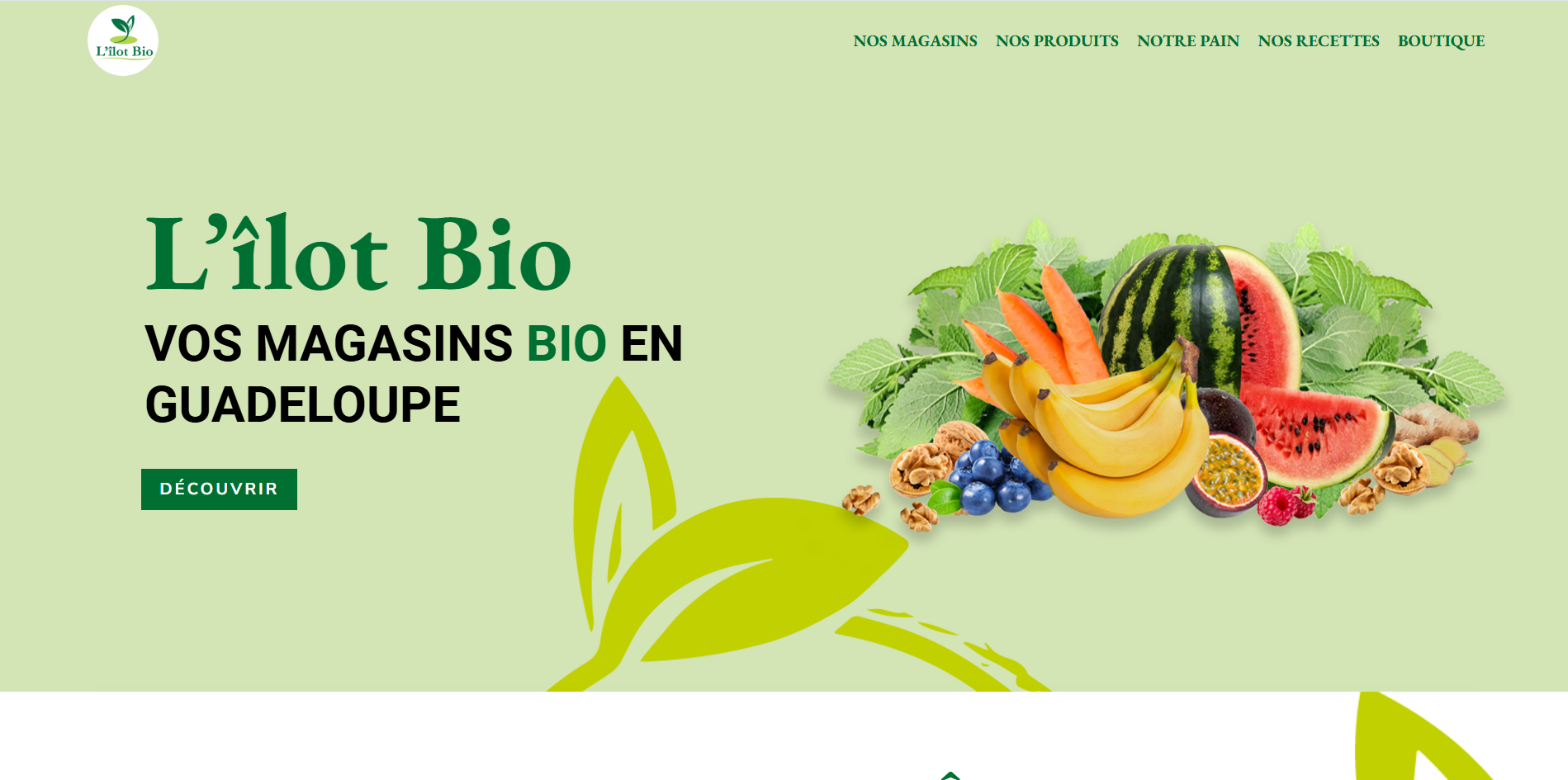 Site vitrine